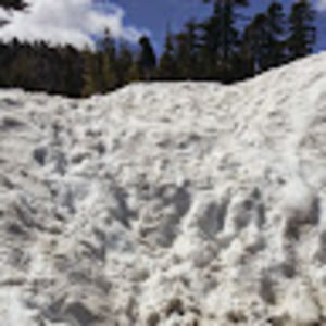 Meet your Posher, Richard